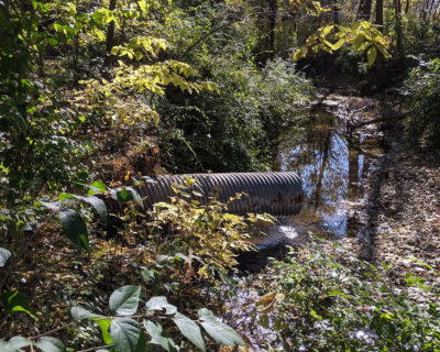 Stream Bank Stabilization