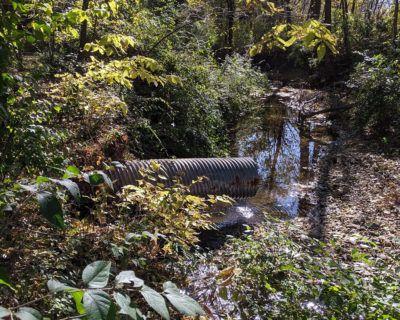 Stream Bank Stabilization