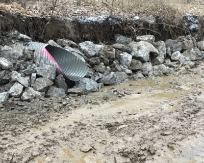 Stream Bank Stabilization