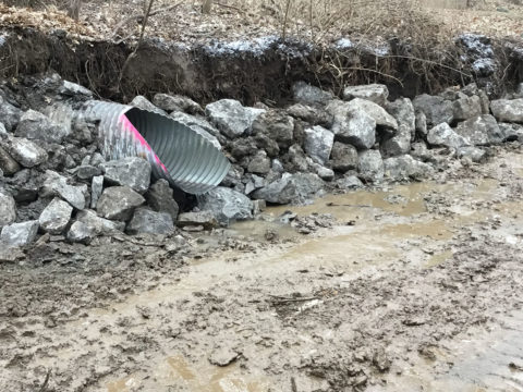 Stream Bank Stabilization