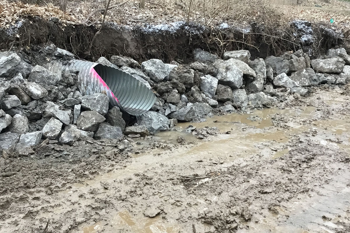 Stream Bank Stabilization